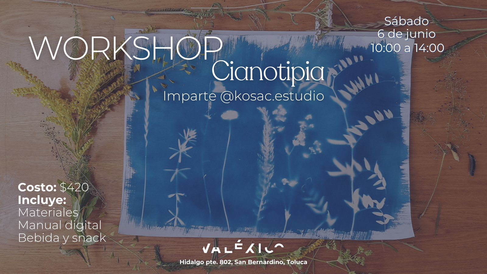 Workshop cianotipia toluca